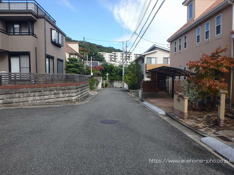 西側公道から北へ望む