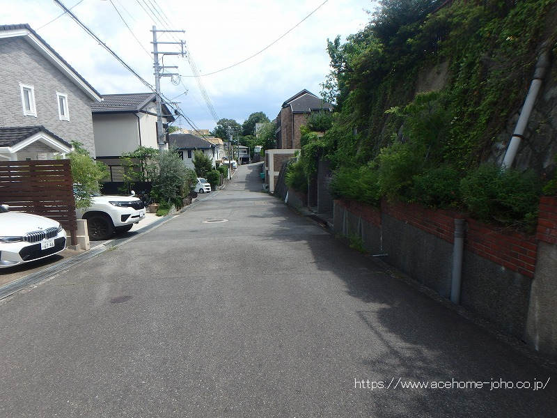 東側公道から南へ臨む
