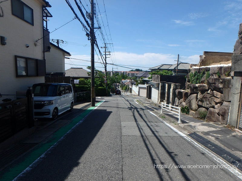 東側公道から南へ望む