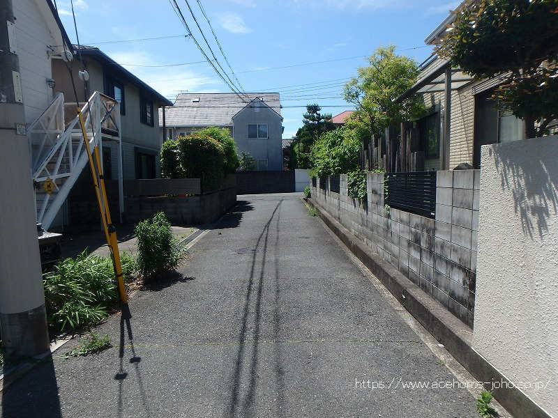 西側公道から南へ望む