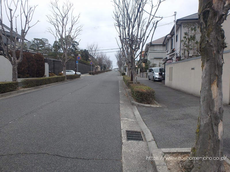 北側公道から東へ望む