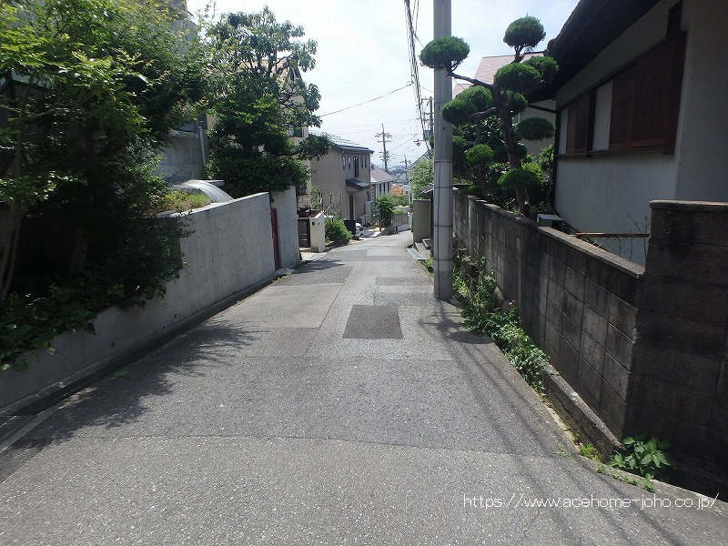 東側公道から南へ望む