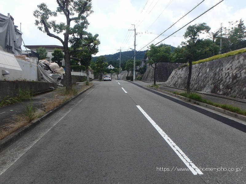 北西側公道から南西へ