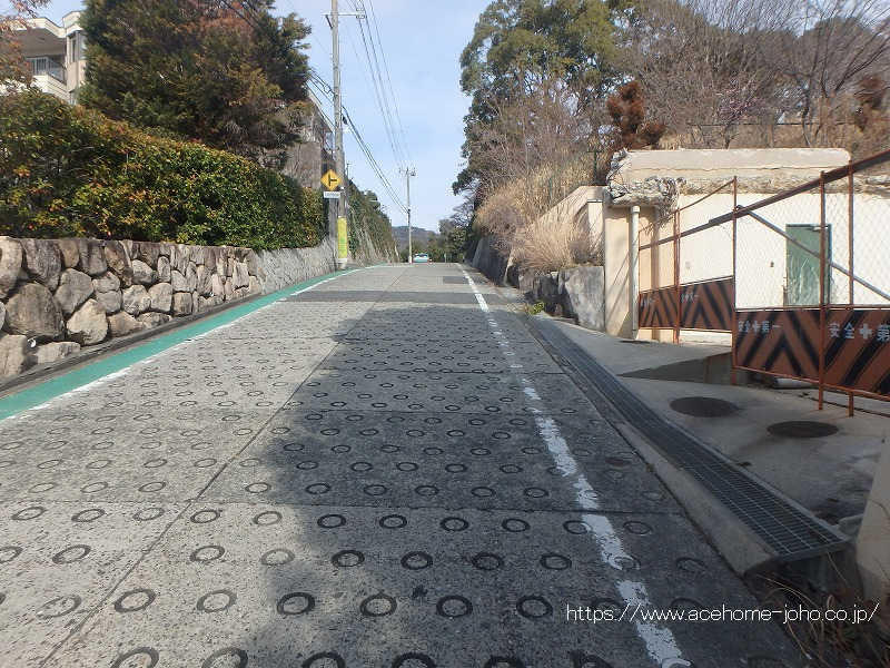 西側公道から北へ望む