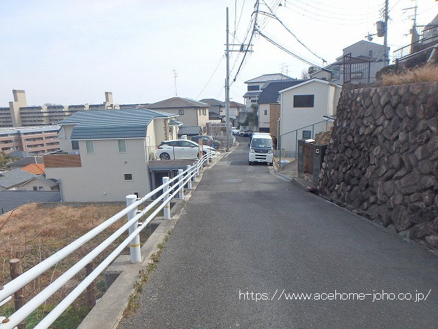 南西側公道から南東へ