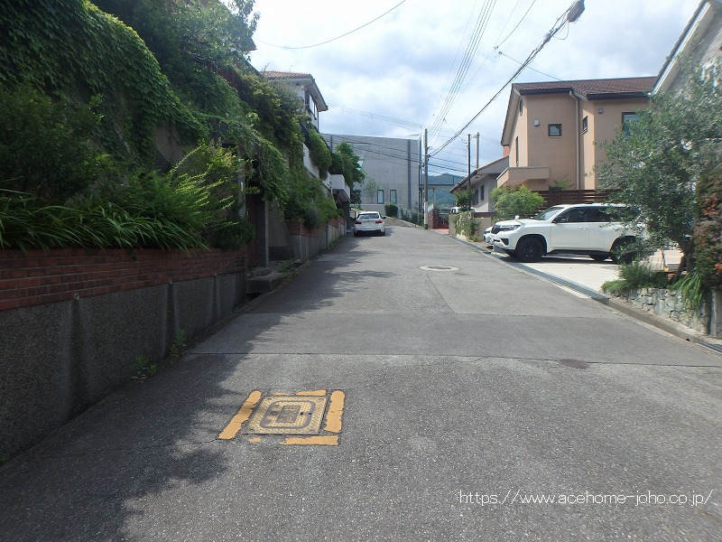 東側公道から北へ臨む