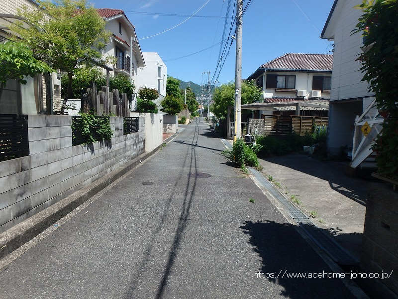西側公道から北へ望む