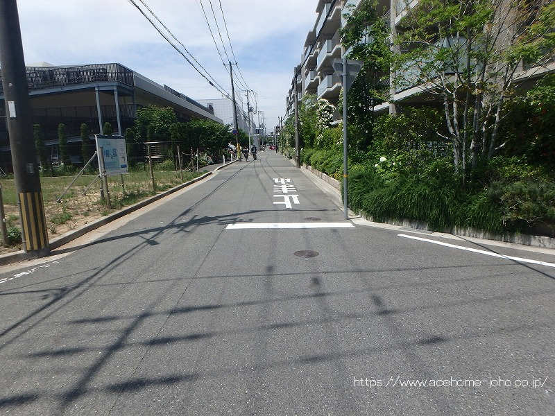 北側公道から東へ望む