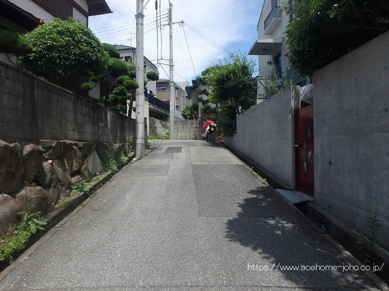 東側公道から北へ望む