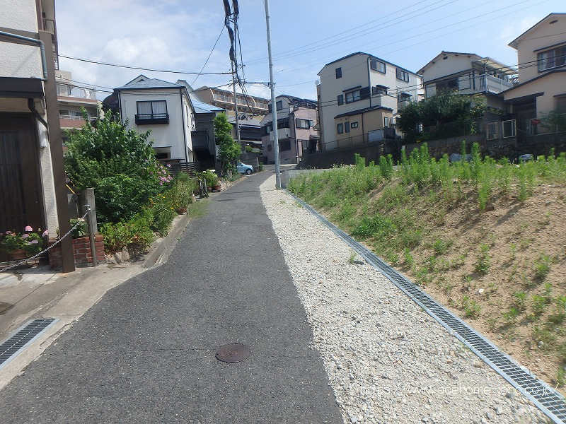 西側道路から北へ望む