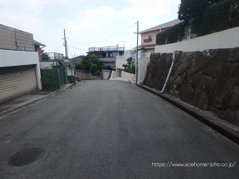 南西側公道から南東へ