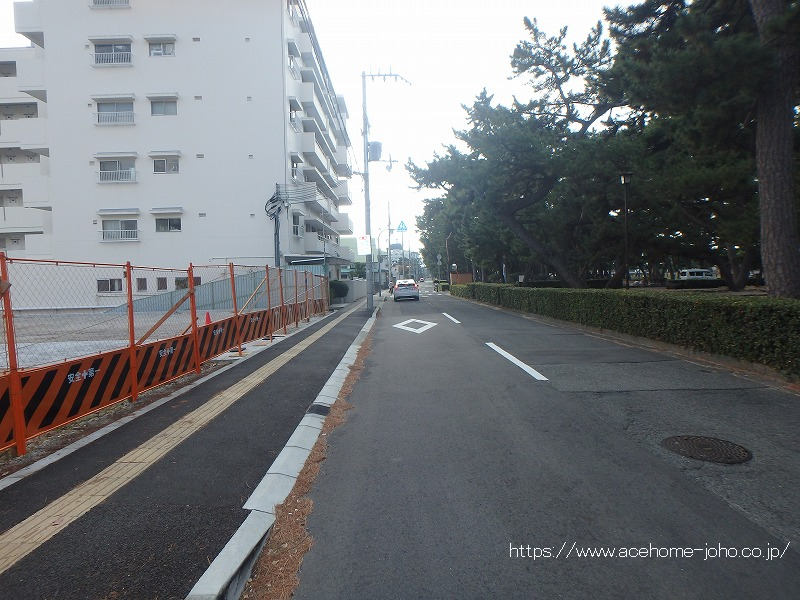 西側公道から南へ望む