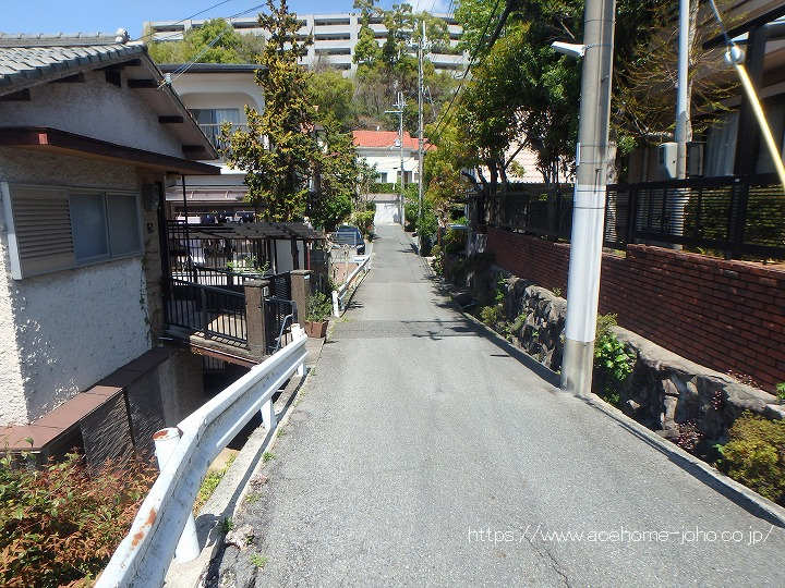 東側公道から北へ望む