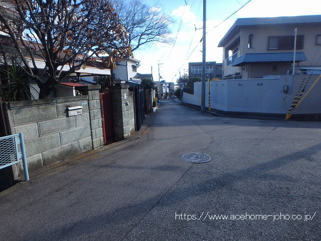 西側公道から南へ望む