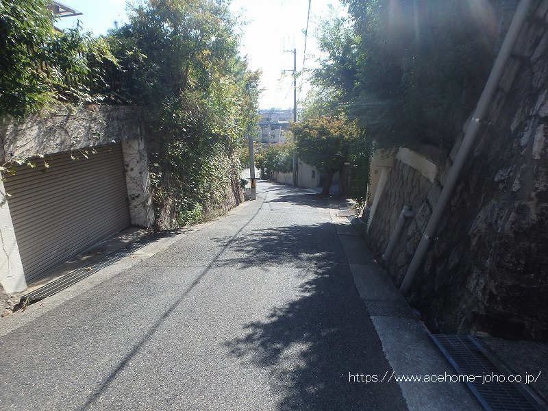 東側公道から南へ望む