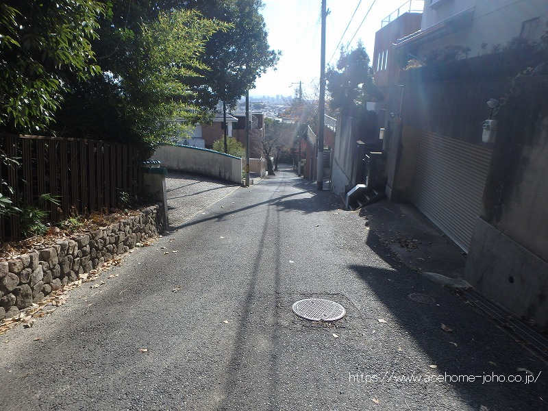 東側公道から南へ望む