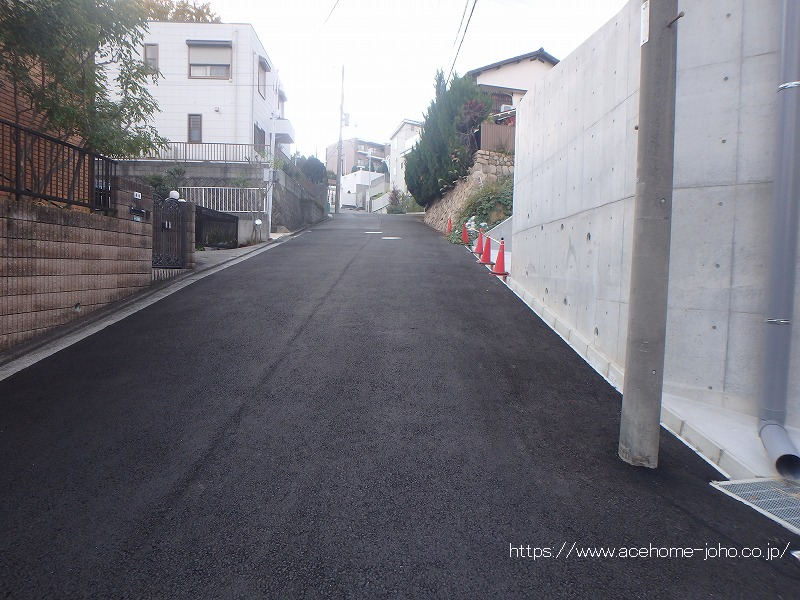 南東側公道から南西へ