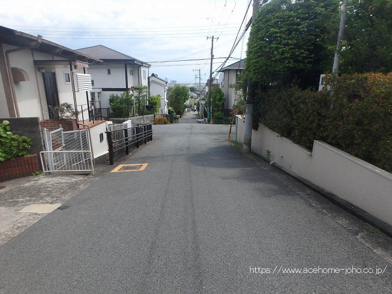 東側公道から南へ臨む