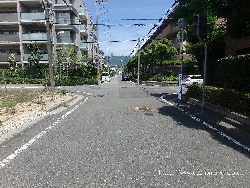 東側公道から北へ望む