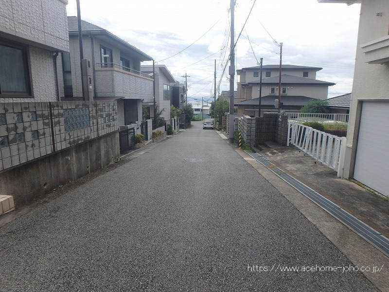 東側公道から南へ望む