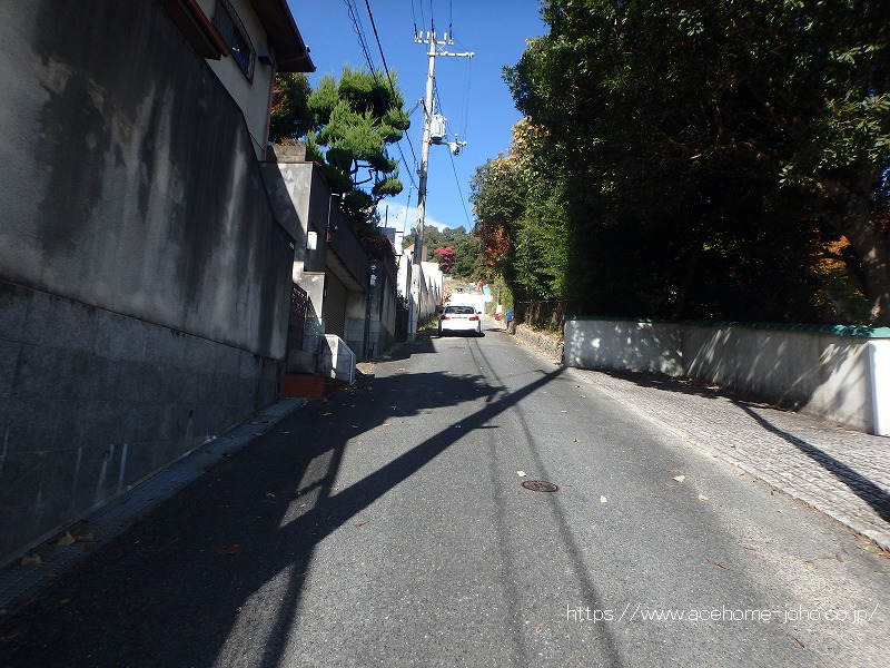 東側公道から北へ望む