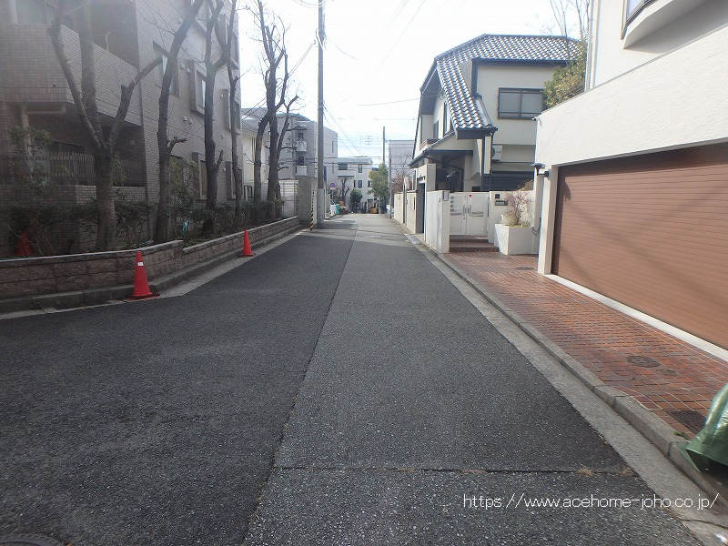 東側公道から南へ望む