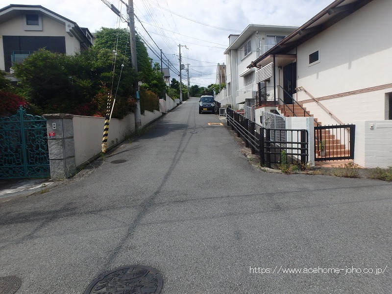東側公道から北へ臨む