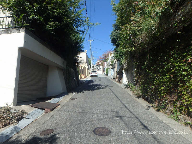 東側公道から北へ望む