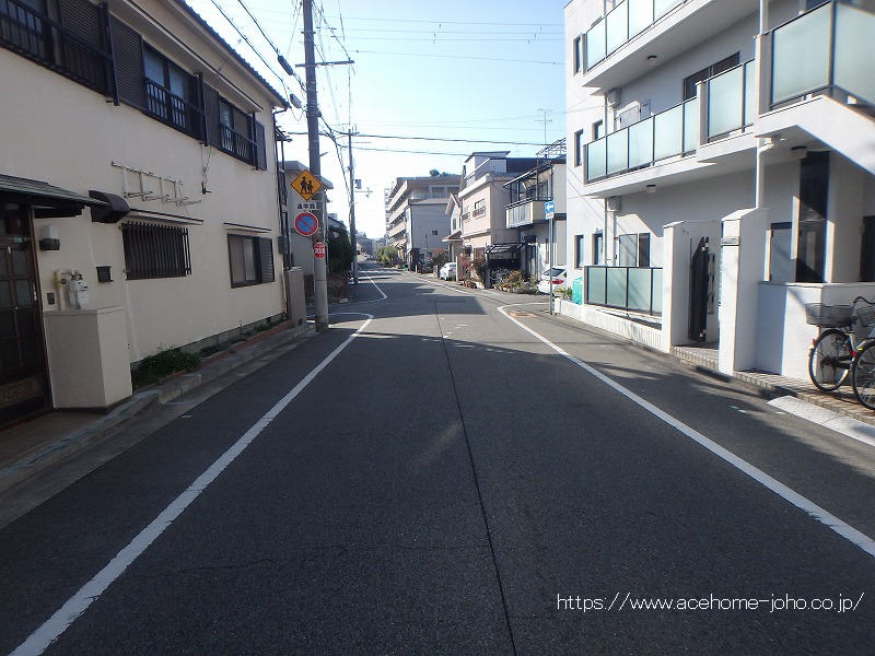 西側公道から南へ望む