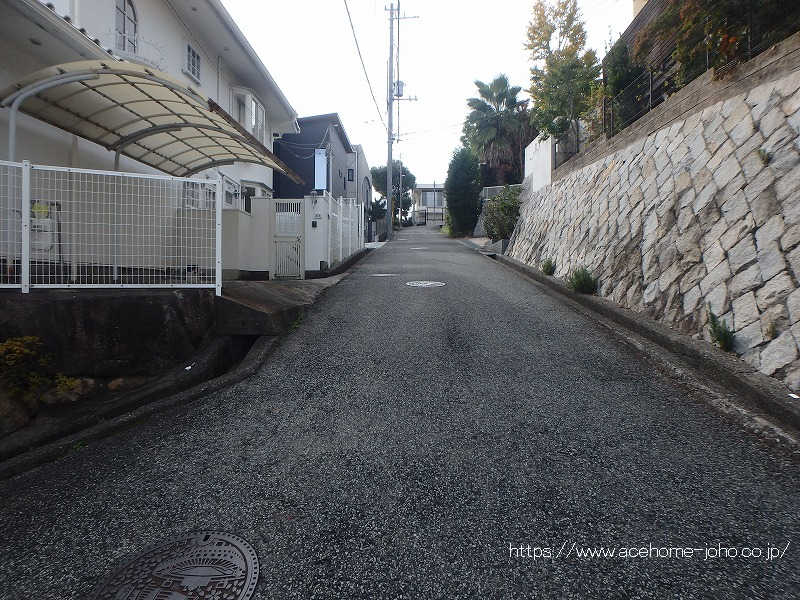 北側公道から西へ望む