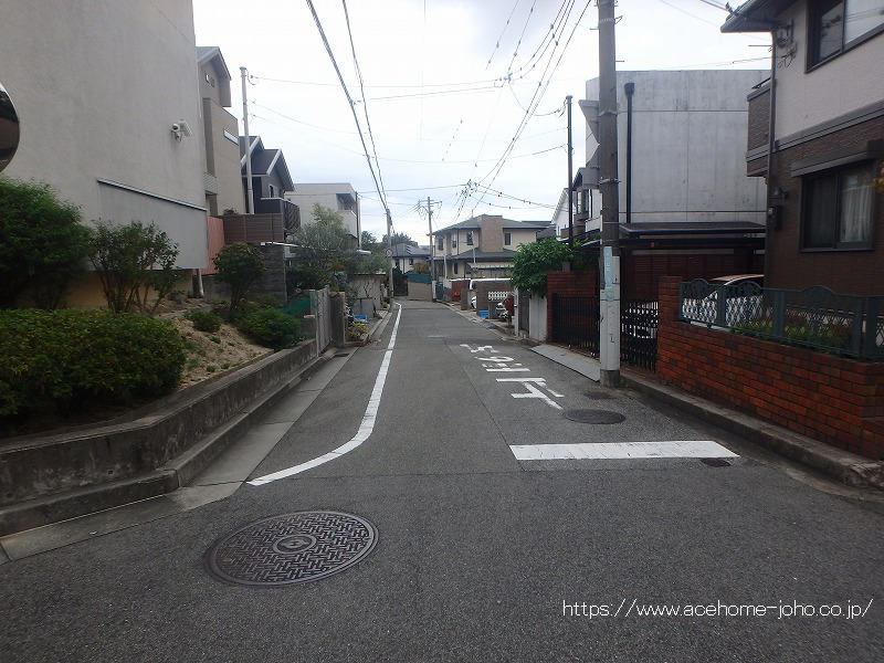 西側公道から南へ望む