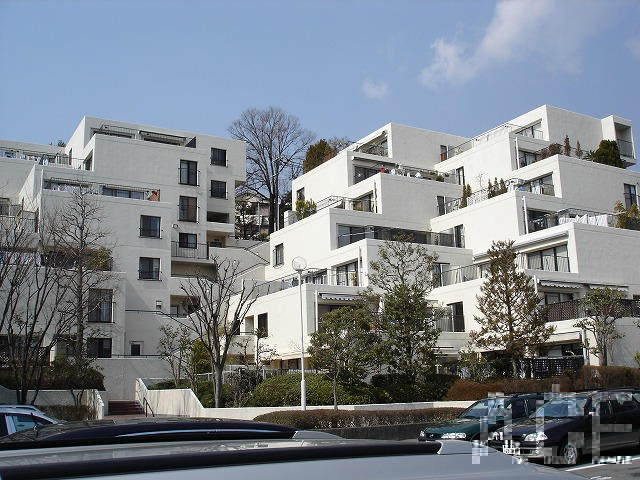 25709画像