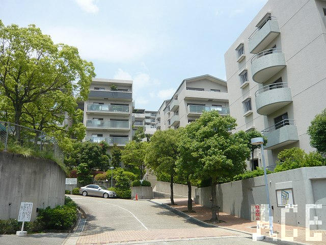 26590画像