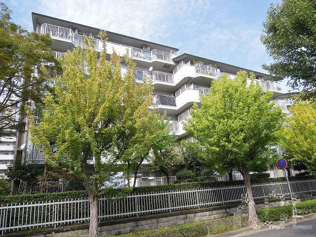 27241画像