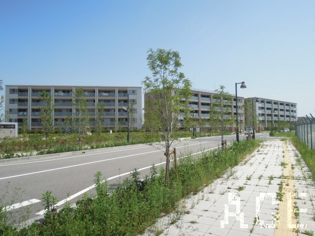 27260画像