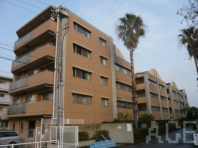 27452画像