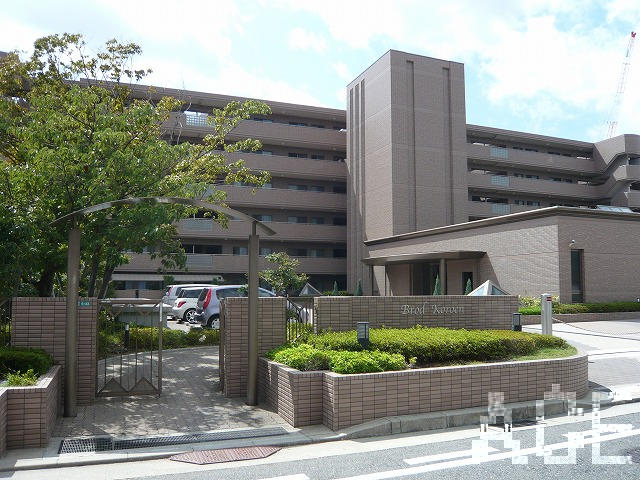 27480画像