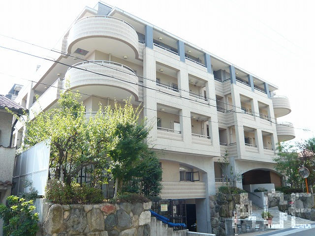 27538画像