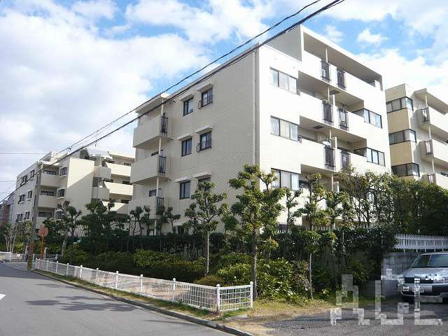 27540画像