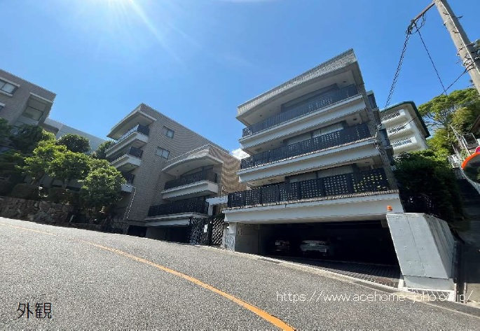 27543画像