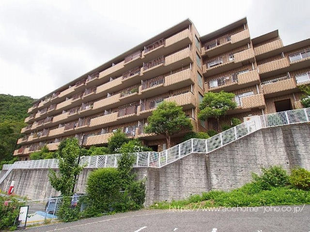 27559画像