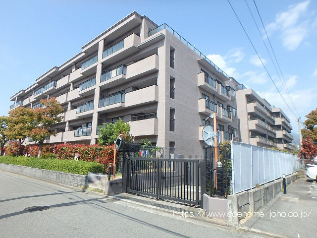 27560画像