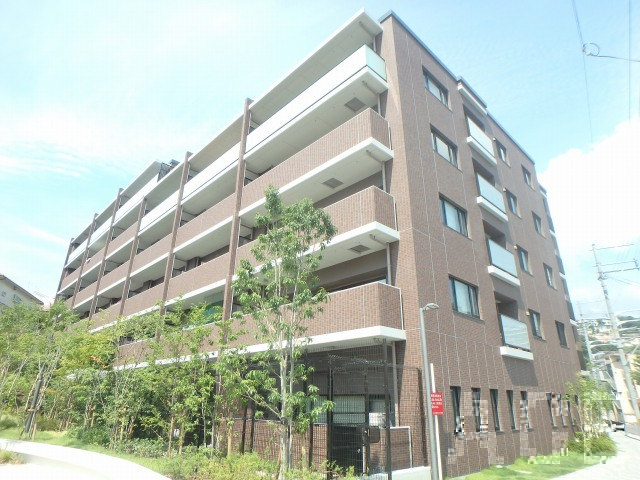 27561画像
