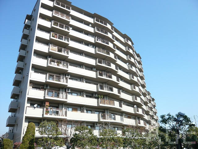 27575画像