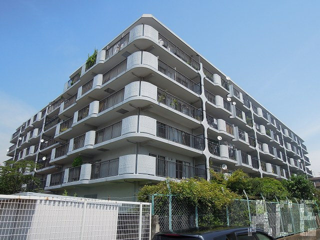 27631画像