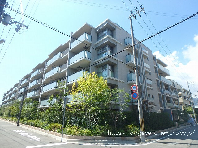 建物外観/南東側より