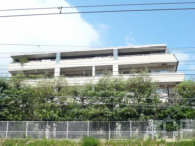 建具交換／南側より