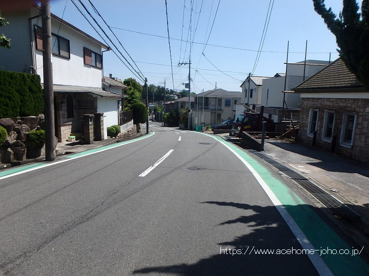 東側公道から南へ望む