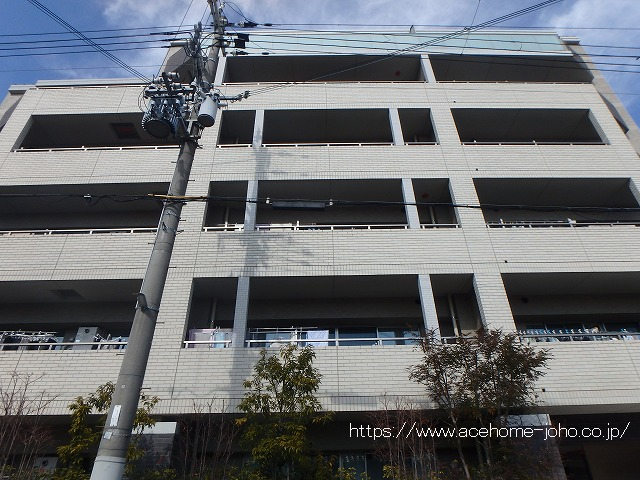 建物外観/南側より