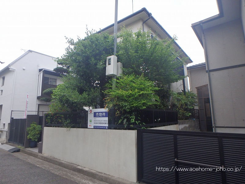 南西側より